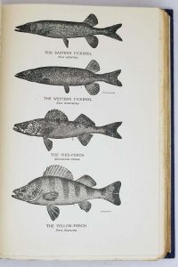 Bass, Pike, Perch and others Game Fishes of America - James A. Henshall ...